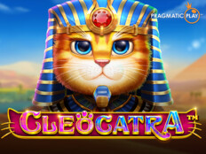 Bedava casino slot oyunları oyna40